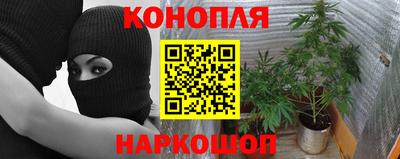 стафф Пыть-Ях