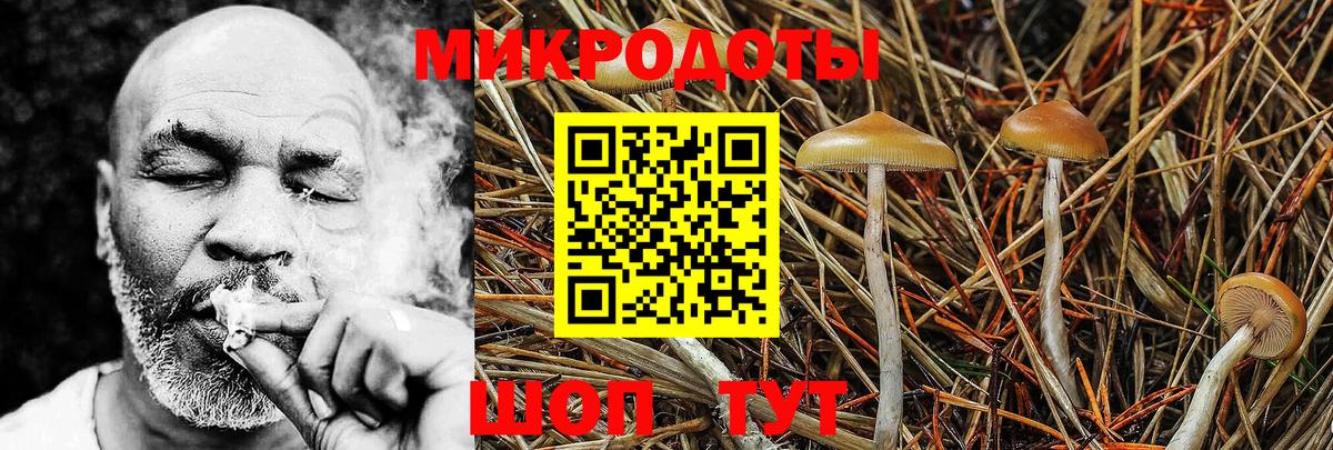 Галлюциногенные грибы Psilocybine cubensis  Вход с VPN  Псилоцибиновые грибы прущие грибы  Рассказово 